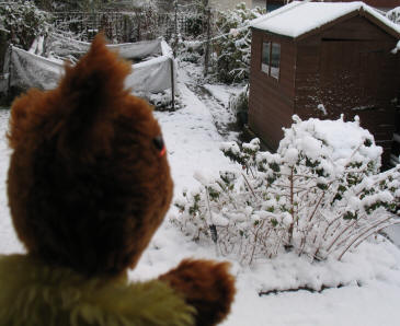 Snowy garden