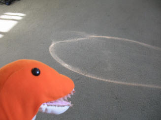 Dino with reflection pattern on carpet