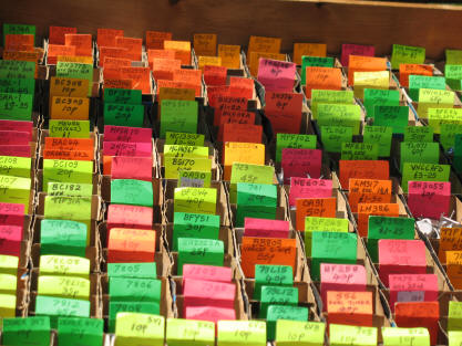 Luton Radio Rally colourful boxes