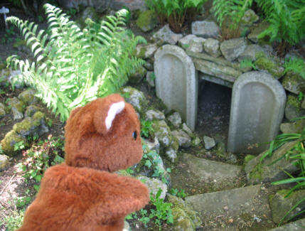 Brown Teddy grotto Stockwood Park Luton