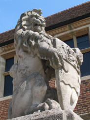 Maidstone Museum lion