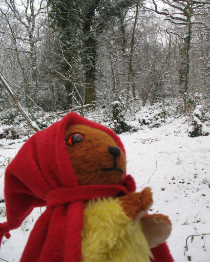 Yellow Teddy in Covet Wood at Poverest Recreation Ground