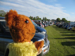 Yellow Teddy at boot fair