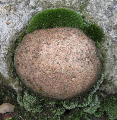 Mossy stone