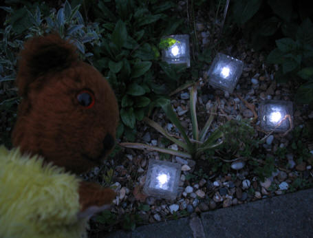 Yellow Teddy solar ice cube lights