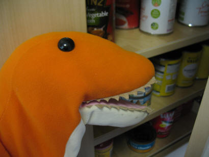 Dino looking in new cupboard