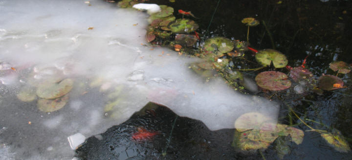 Ice on pond