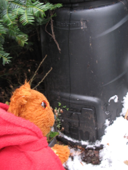 Yellow Teddy with compost bins