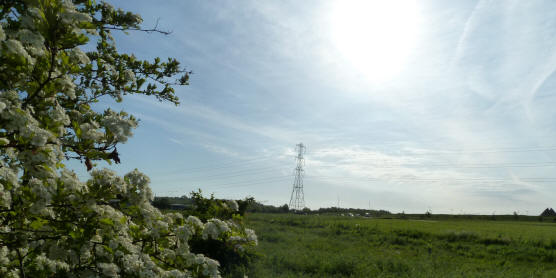 Pedham field view