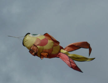 Fish windsock, Pedham