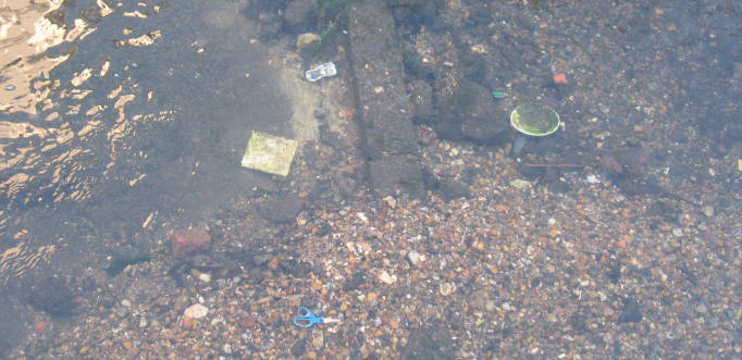 River Cray things in water