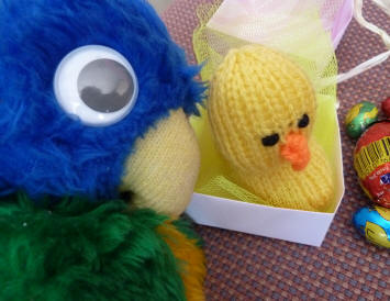 Blue Parrot looking after the knitted chick