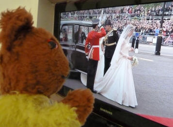 Yellow Teddy watching the Royal Bridge leave her car