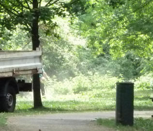 Park strimming, River Cray