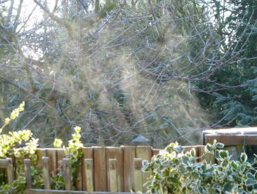 Steaming fence