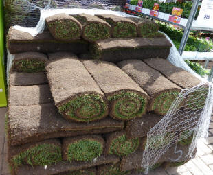 Turf rolls