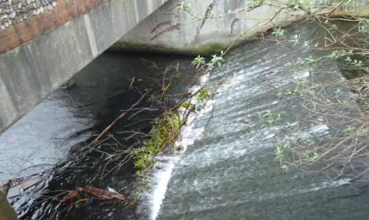 Weir River Cray