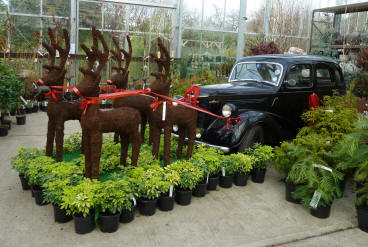 Coolings - Twiggy reindeer pulling vintage car