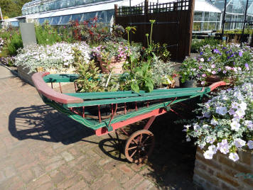 Hall Place Bexleyheath - flower beds