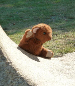 Hall Place Bexleyheath - Brown Teddy in the sculpture