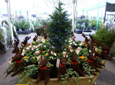 Twiggy reindeer at garden centre