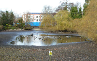 Priory pond drying up