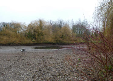 Priory pond dried up with just a small puddle left