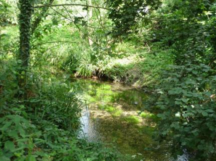 River Cray