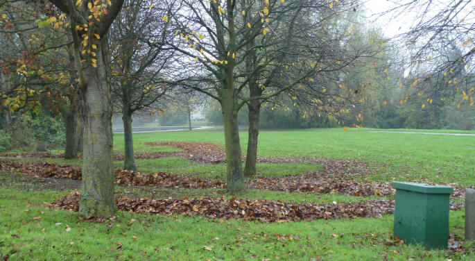 Autumn leaves blown into stripes