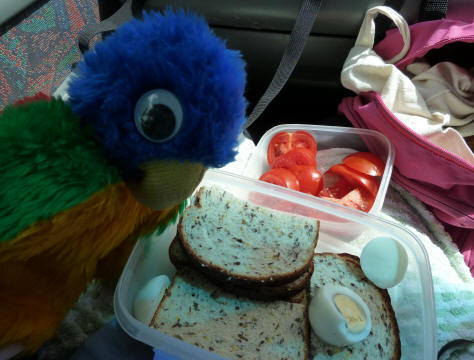 Blue Parrot with linseed bread