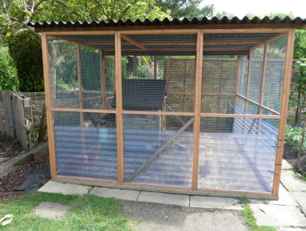 Dig For Victory chickens new cage