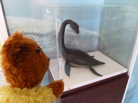 Teddy with model of plesiosaur