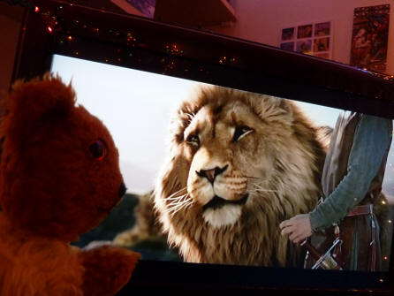 Yellow Teddy watching Narnia