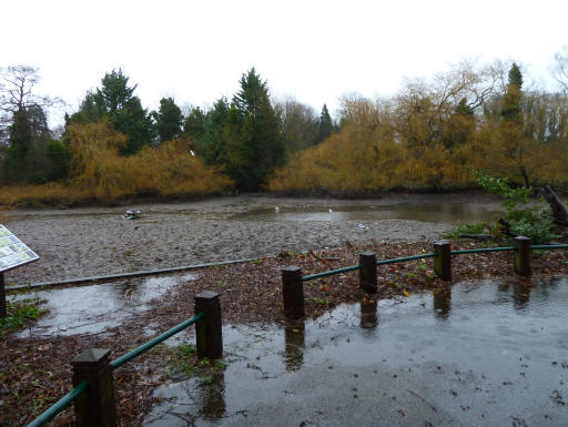 Priory pond filling up 2