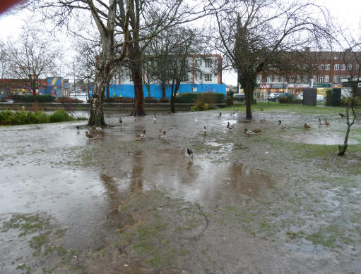 Priory Park pond filling up 1