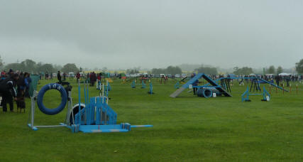 Dog show jumping trials