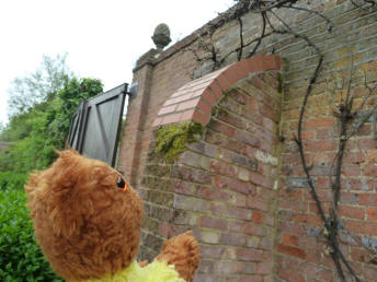 Yellow Teddy and mended brick wall