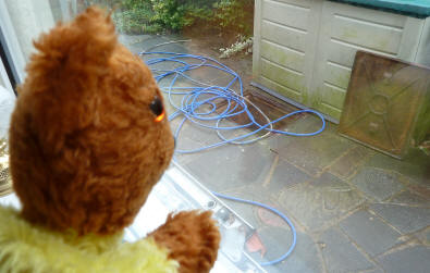 Yellow Teddy drains cleaning