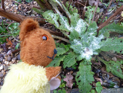 Dusting of snow