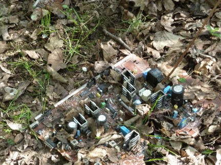 Computer board amongst leaves