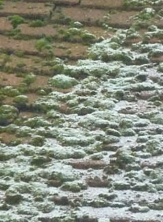 Dusting of snow on roof