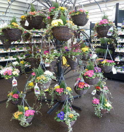 Hanging basket stand