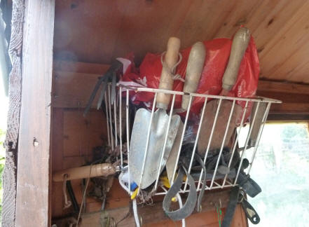 Robin's nest in garden shed