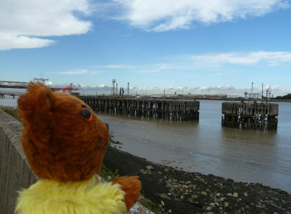 Yellow Teddy at Jenningtree Wharf, Erith