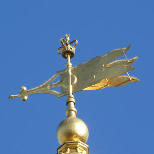 Wind vane