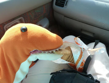 Dino eating Oatie Biscuits