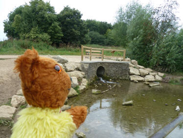 Yellow Teddy with water outlet