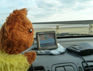 Yellow Teddy with Satnav