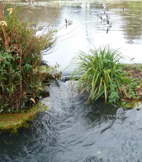 High water in Priory weir