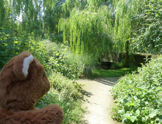 Brown Teddy approaching river bridge